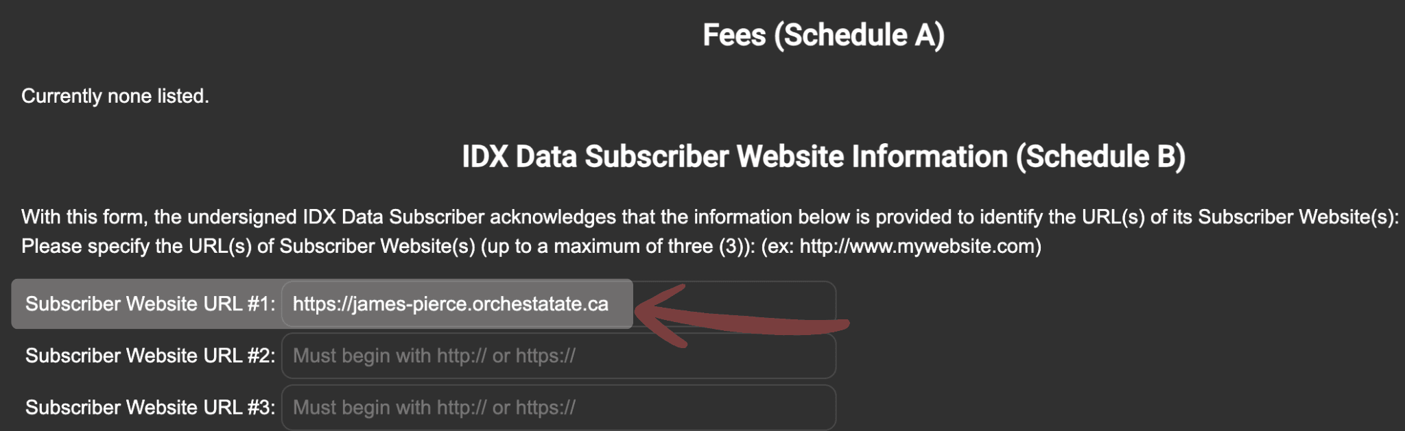 Website Domain URL Input