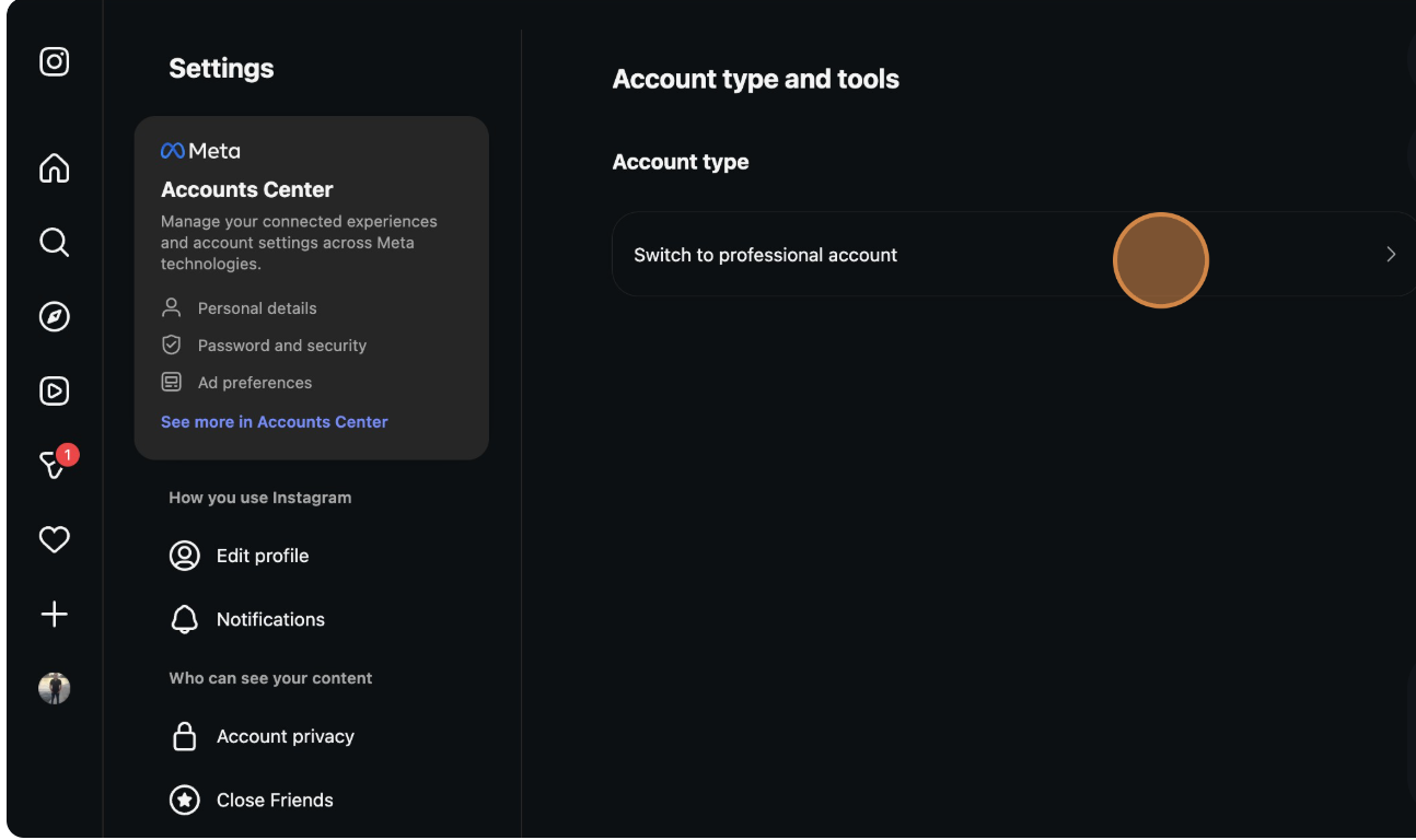 Switch to Professional Account option